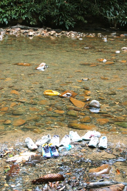 DSC_4254.JPG